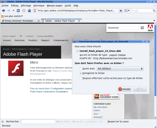 Fichier:Firefox flash 02.jpg