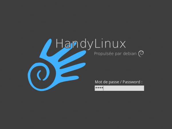 Handylinux-38 slim-password.png