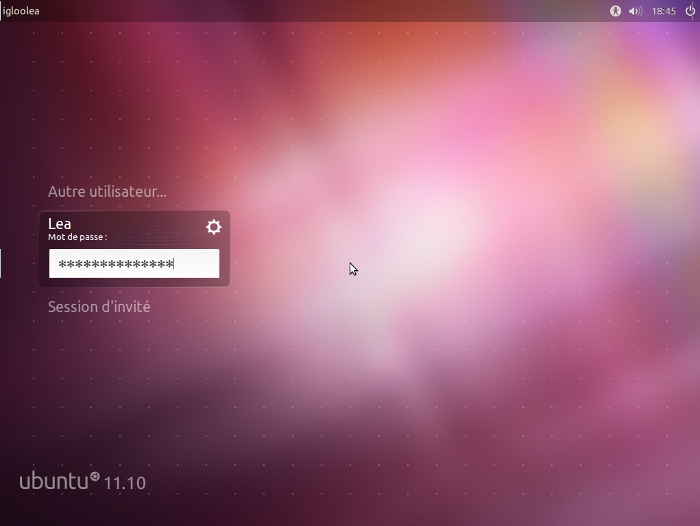 Fichier:Ubuntu1110 13.jpg