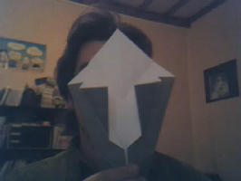 Fichier:Origami pliage-20.jpg