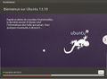 Ubuntu1310 09.jpg